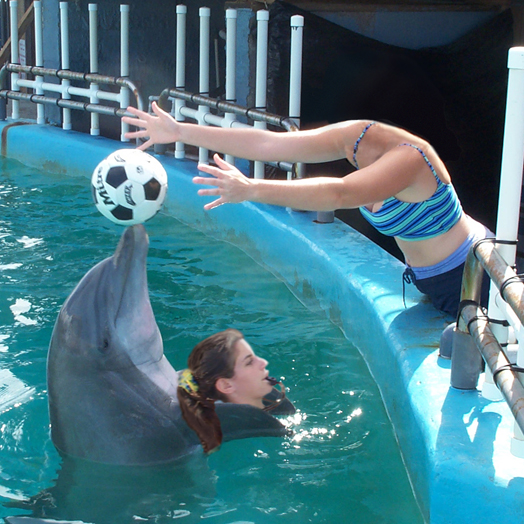 Photoshop Design by scotty2hotty for DesignCrowd (Community Contests) | Design #9123226