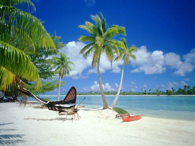 Design Photoshop par piotrek pour DesignCrowd (Community Contests) | Design #9145131