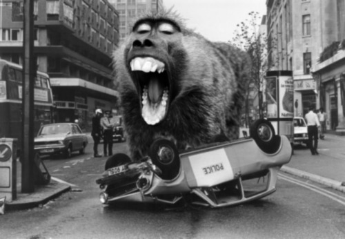 Photoshop Design by Slim for DesignCrowd (Community Contests) | Design #9145144