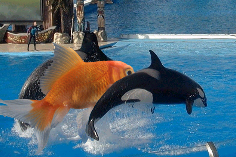 Photoshop Design by Axiom for DesignCrowd (Community Contests) | Design #9145171