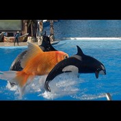 Photoshop Design by Axiom