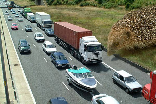 Photoshop Design by aih for DesignCrowd (Community Contests) | Design #9145164