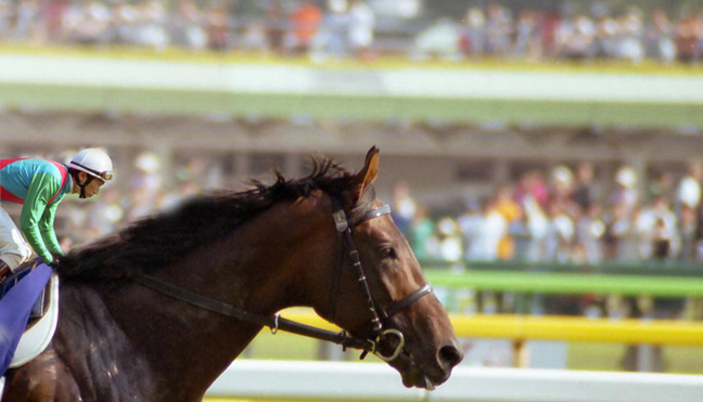 Photoshop Design by fiel for DesignCrowd (Community Contests) | Design #9145204