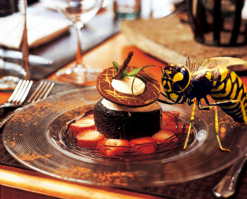 Photoshop Design by PiercedVelvet for DesignCrowd (Community Contests) | Design #9145231