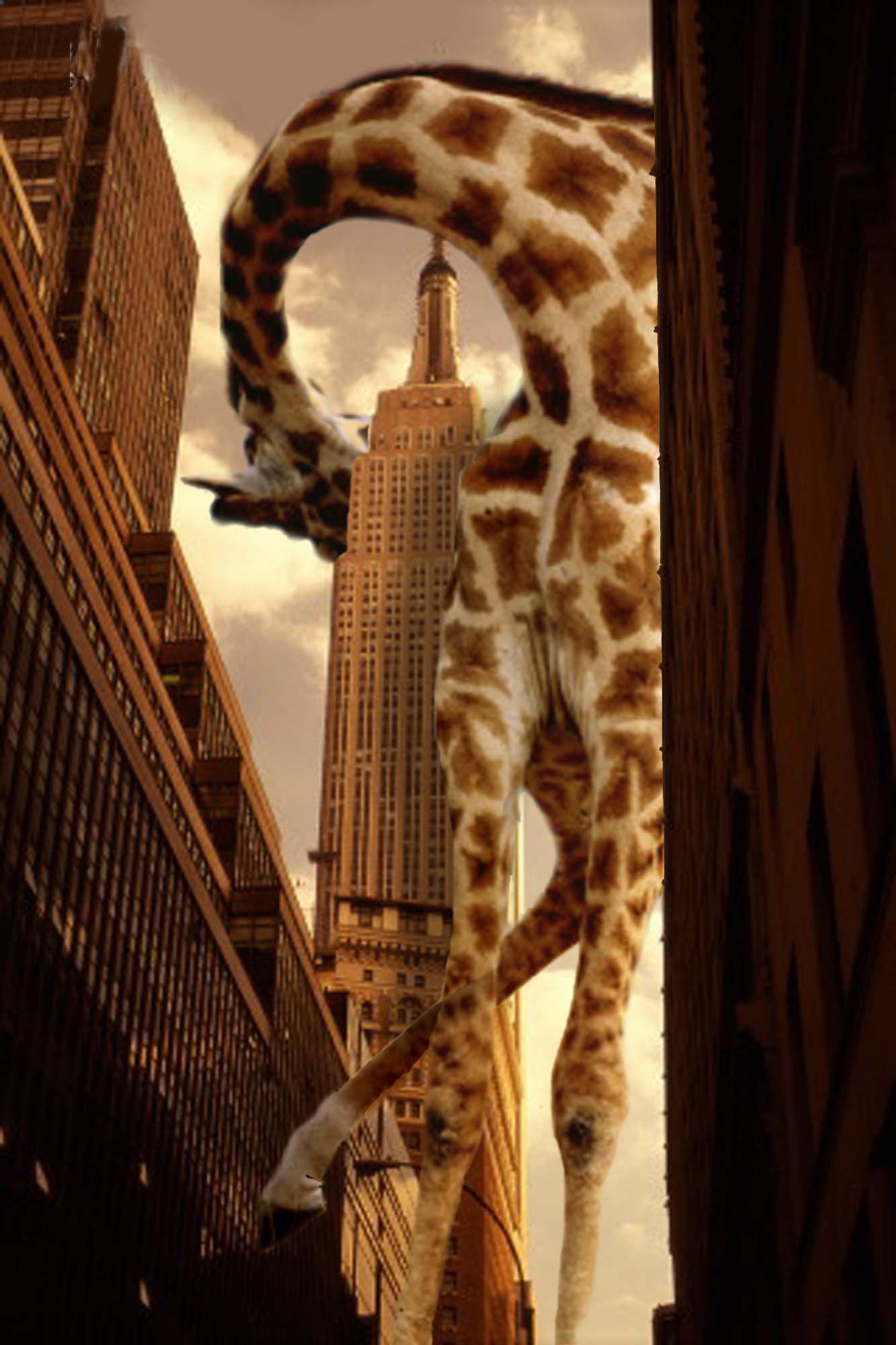 Photoshop Design by JackMack for DesignCrowd (Community Contests) | Design #9145223