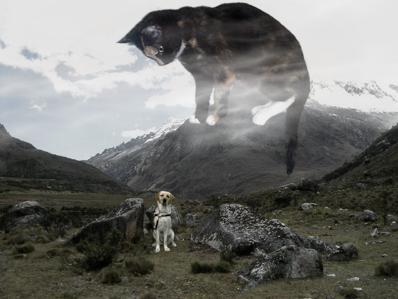 Photoshop Design by its420here for DesignCrowd (Community Contests) | Design #9145201