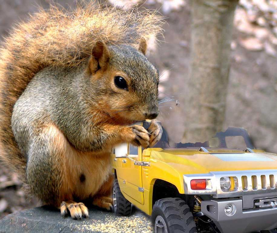 Photoshop-Design von LadyBug für DesignCrowd (Community Contests) | Design #9145250