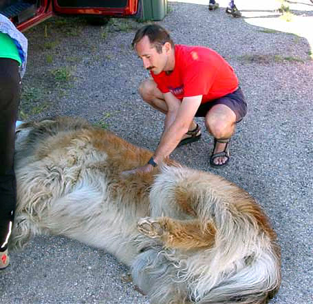 Photoshop Design by stylin for DesignCrowd (Community Contests) | Design #9145200