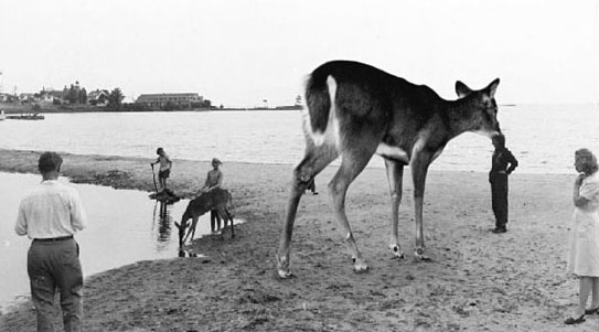 Photoshop-Design von betablocker für DesignCrowd (Community Contests) | Design #9145255