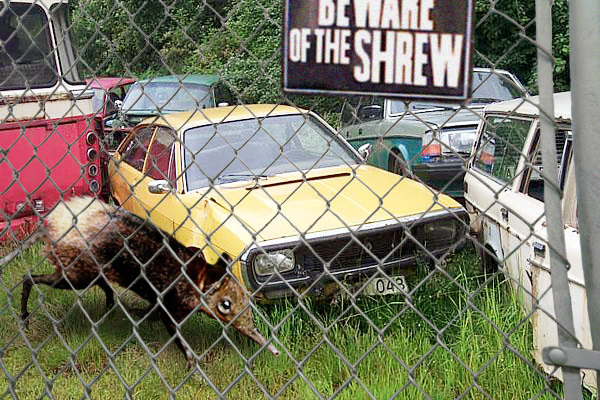 Design Photoshop par ARagMan pour DesignCrowd (Community Contests) | Design #9145267