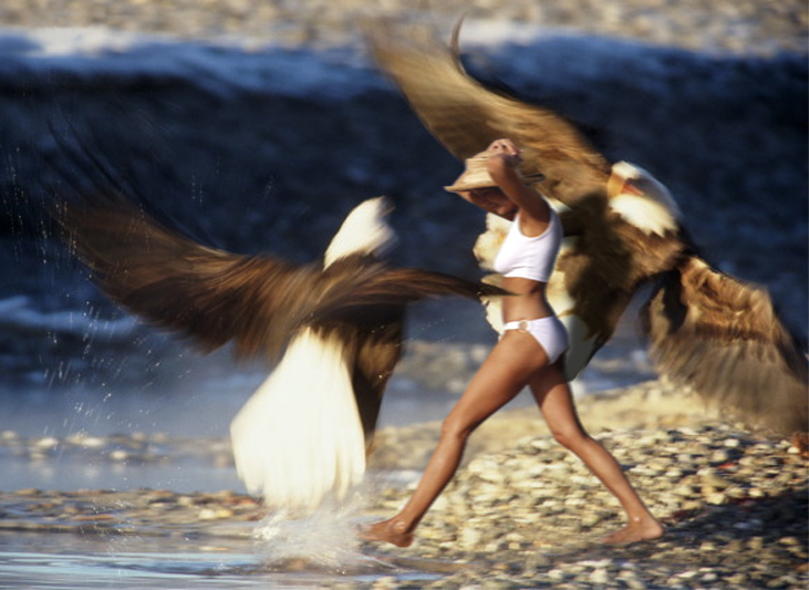 Photoshop Design by peetree for DesignCrowd (Community Contests) | Design #9145273