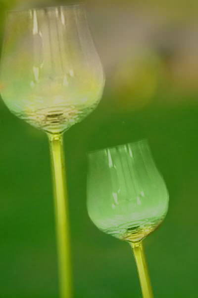 Design Photoshop par piotrek pour DesignCrowd (Community Contests) | Design #9148086