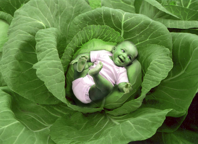 Photoshop Design by PiercedVelvet for DesignCrowd (Community Contests) | Design #9148146