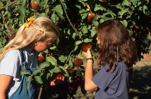 Diseño de Photoshop por downside para DesignCrowd (Community Contests) | Diseño #9148175