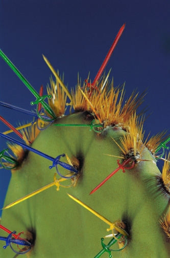 Photoshop Design by www4 for DesignCrowd (Community Contests) | Design #9148150