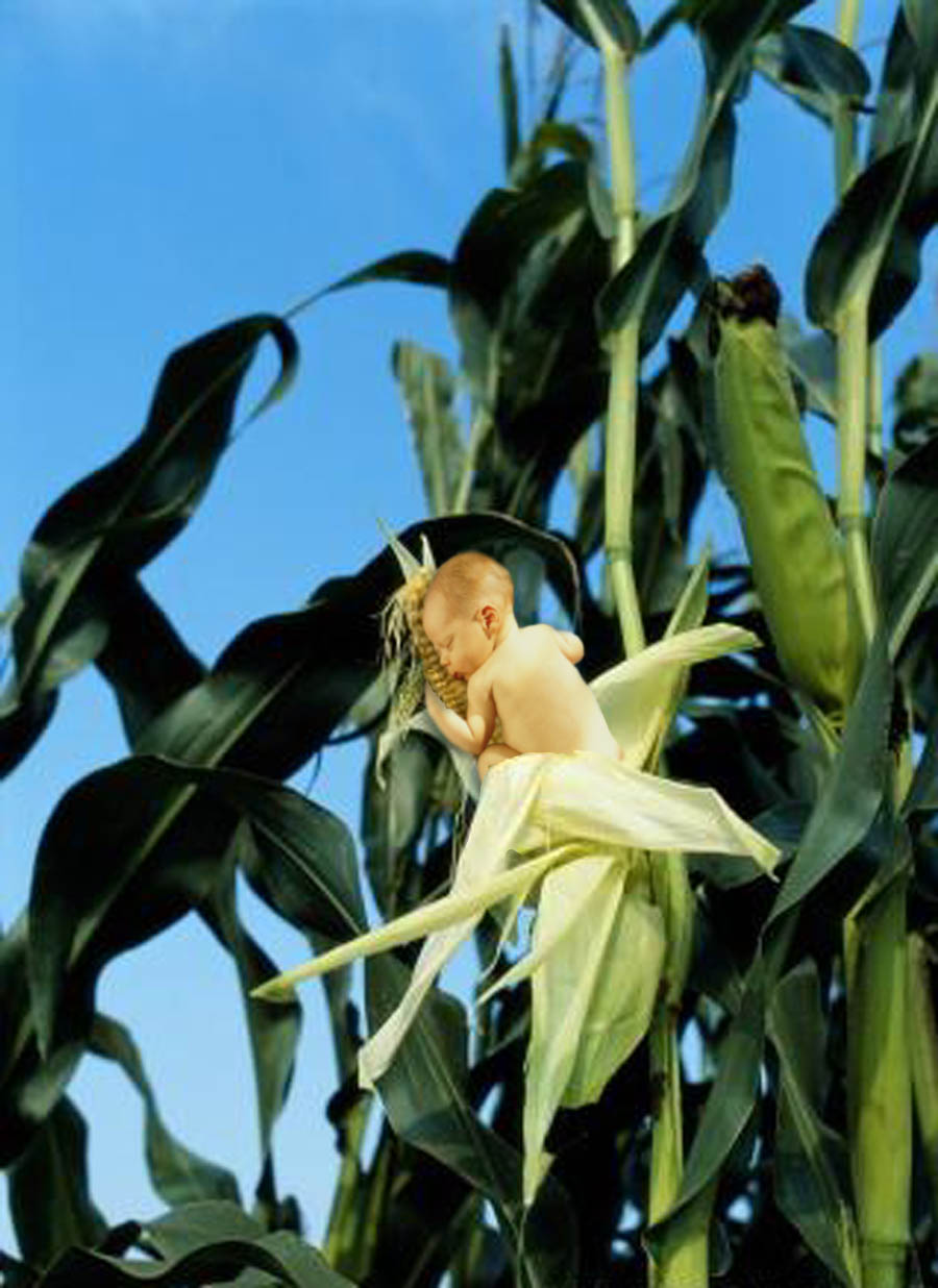 Photoshop Design by JackMack for DesignCrowd (Community Contests) | Design #9148264