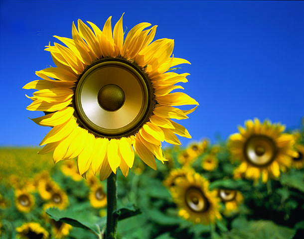 Photoshop Design by stylin for DesignCrowd (Community Contests) | Design #9148225