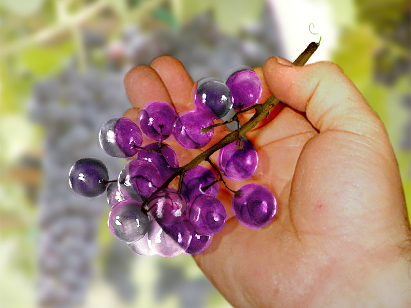 Photoshop Design by DakotaBoy88 for DesignCrowd (Community Contests) | Design #9148270