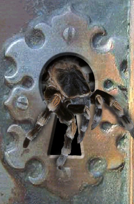 Photoshop Design by Matoogs for DesignCrowd (Community Contests) | Design #9150421