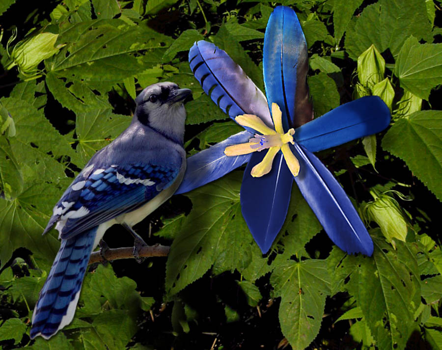 Diseño de Photoshop por Vortex para DesignCrowd (Community Contests) | Diseño #9148294