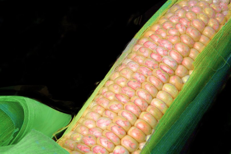 Photoshop-Design von Grimtooth für DesignCrowd (Community Contests) | Design #9148301