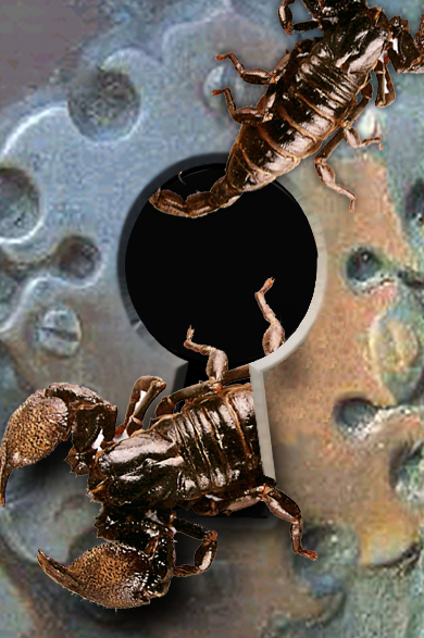 Photoshop Design by Buurman for DesignCrowd (Community Contests) | Design #9150548