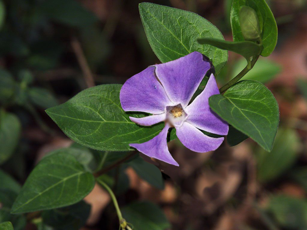 Photoshop Design by Buurman for DesignCrowd (Community Contests) | Design #9146573