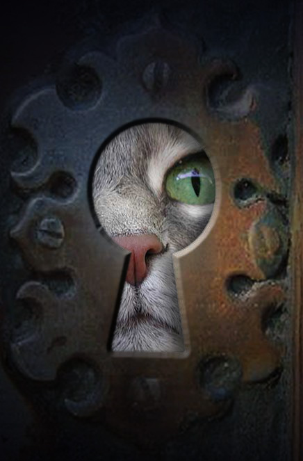 Design Photoshop par dnowhat pour DesignCrowd (Community Contests) | Design #9150451