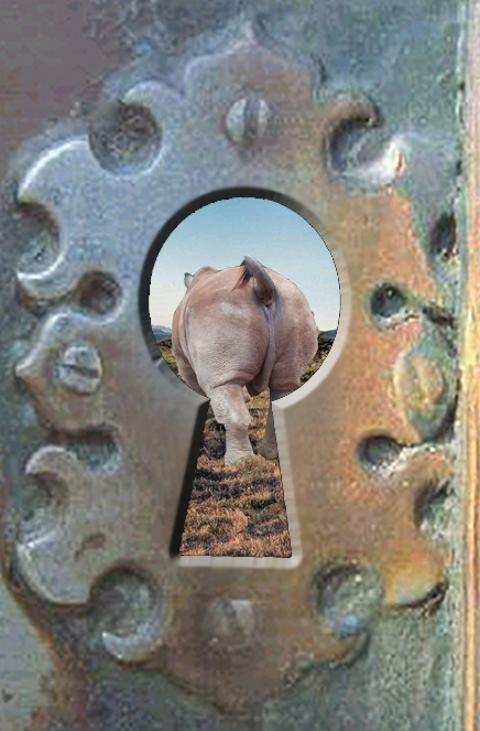 Design Photoshop par dazzle pour DesignCrowd (Community Contests) | Design #9150667