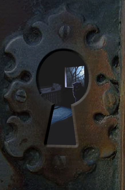 Diseño de Photoshop por MrBonusBuy para DesignCrowd (Community Contests) | Diseño #9150590