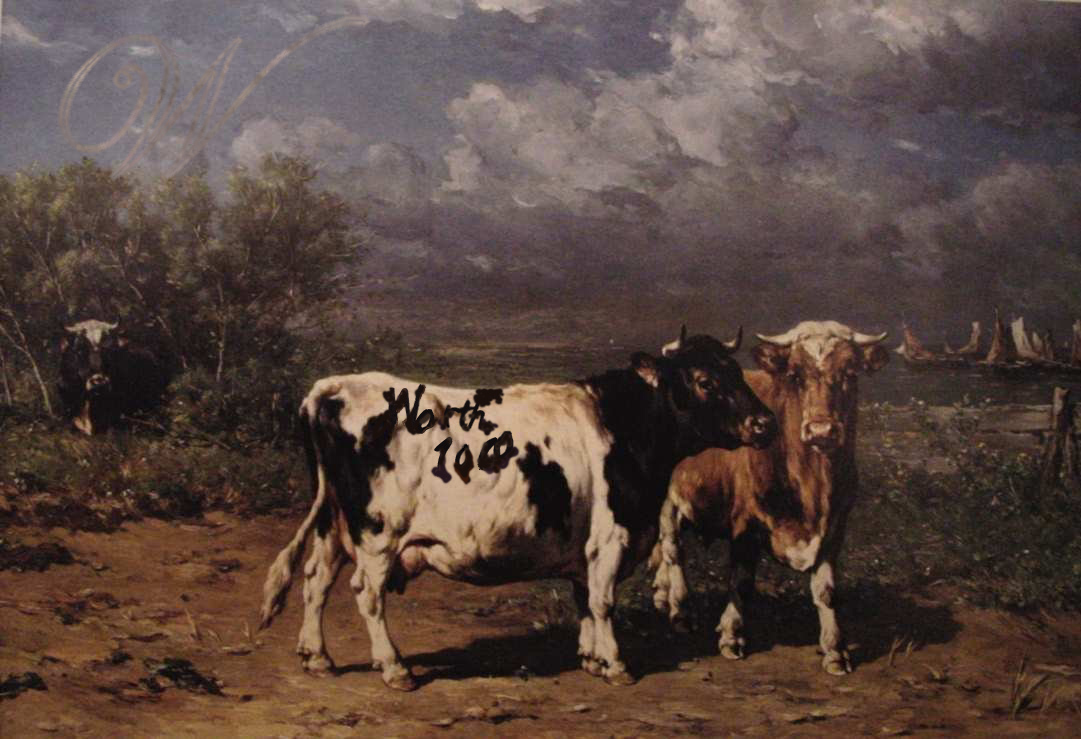 Photoshop Design by Buurman for DesignCrowd (Community Contests) | Design #9150117