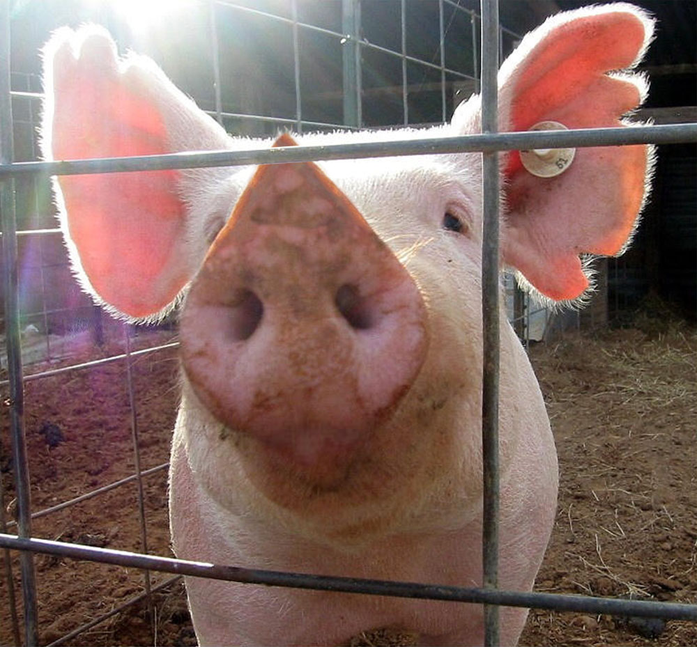 Photoshop-Design von Blipvert für DesignCrowd (Community Contests) | Design #9146736