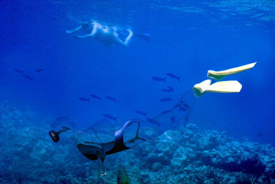 Photoshop Design by DakotaBoy88 for DesignCrowd (Community Contests) | Design #9134513