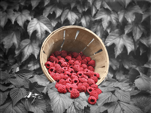 Photoshop Design by paplaukes for DesignCrowd (Community Contests) | Design #9145967