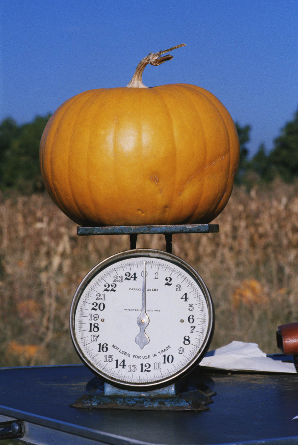 Photoshop-Design von Blipvert für DesignCrowd (Community Contests) | Design #9146028