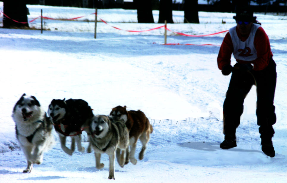 Diseño de Photoshop por StuffMaster para DesignCrowd (Community Contests) | Diseño #9149171