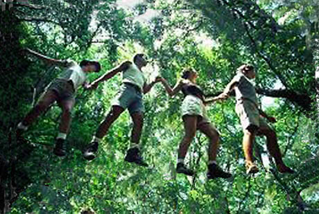 Photoshop Design by Redstar for DesignCrowd (Community Contests) | Design #9149226