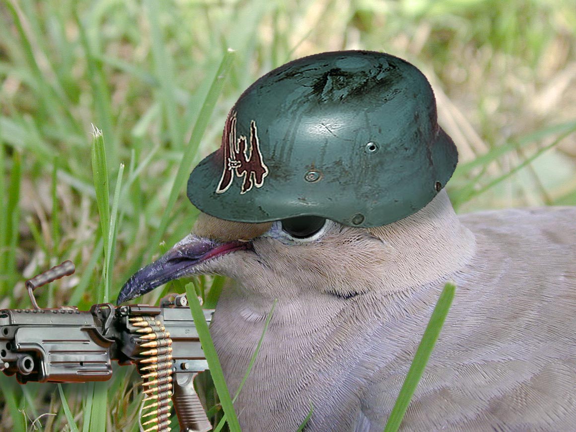 Design Photoshop par Windshadow pour DesignCrowd (Community Contests) | Design #9147030