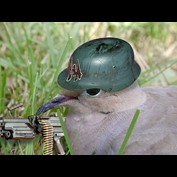 Photoshop Design by Windshadow