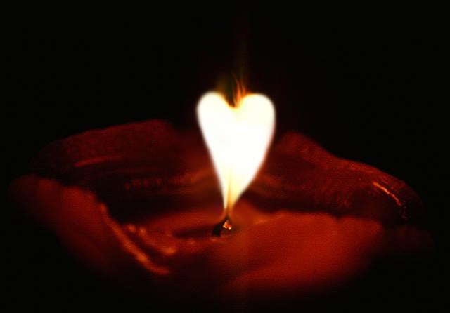 Photoshop-Design von Brass_Elephant für DesignCrowd (Community Contests) | Design #9143911