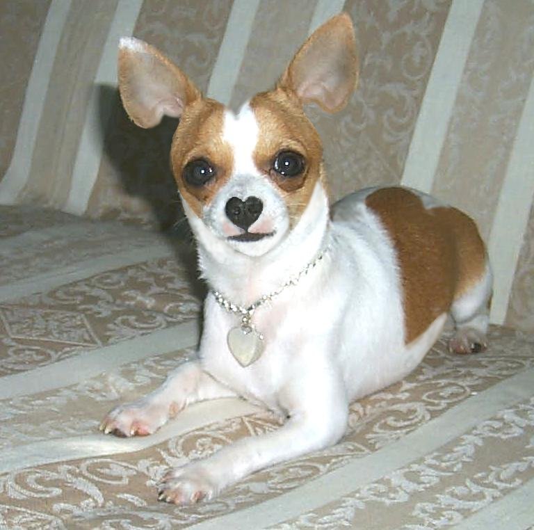 Photoshop Design by Garsaelon for DesignCrowd (Community Contests) | Design #9143965