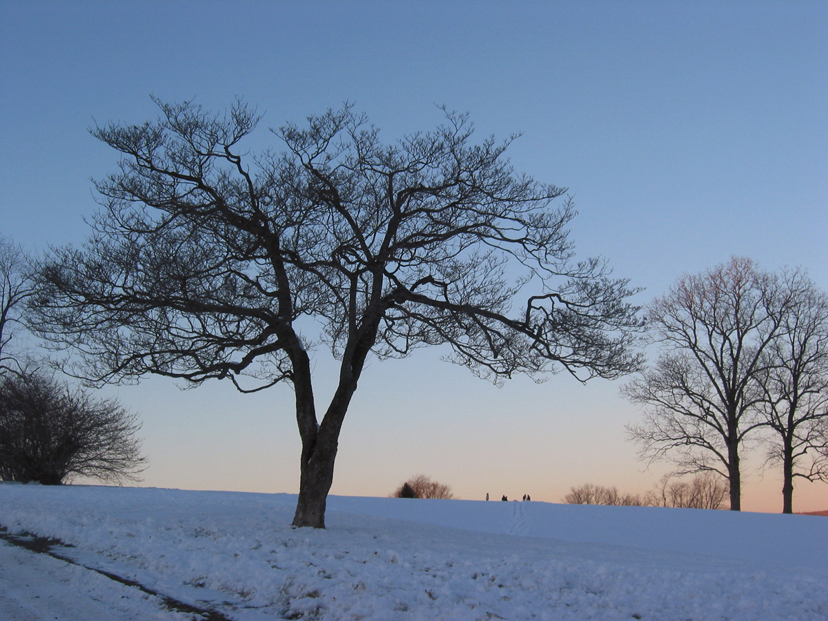 Photography by PeterSealy for DesignCrowd (Community Contests) | Design #9143531