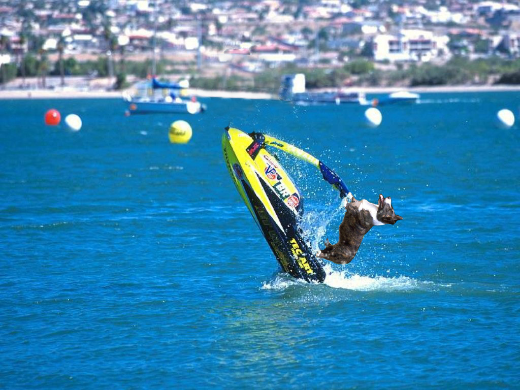 Photoshop Design by Buurman for DesignCrowd (Community Contests) | Design #9124482