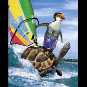 Photoshop Design by bobgagnon