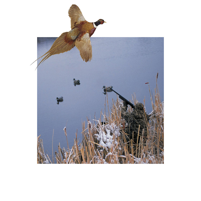 Photoshop Design by Brass_Elephant for DesignCrowd (Community Contests) | Design #9146347