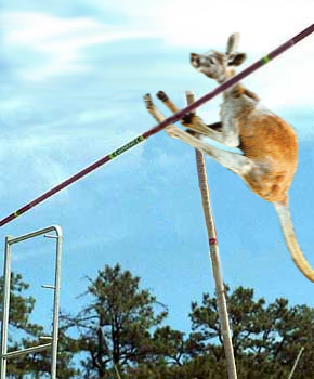 Photoshop Design by bozarth for DesignCrowd (Community Contests) | Design #9124532