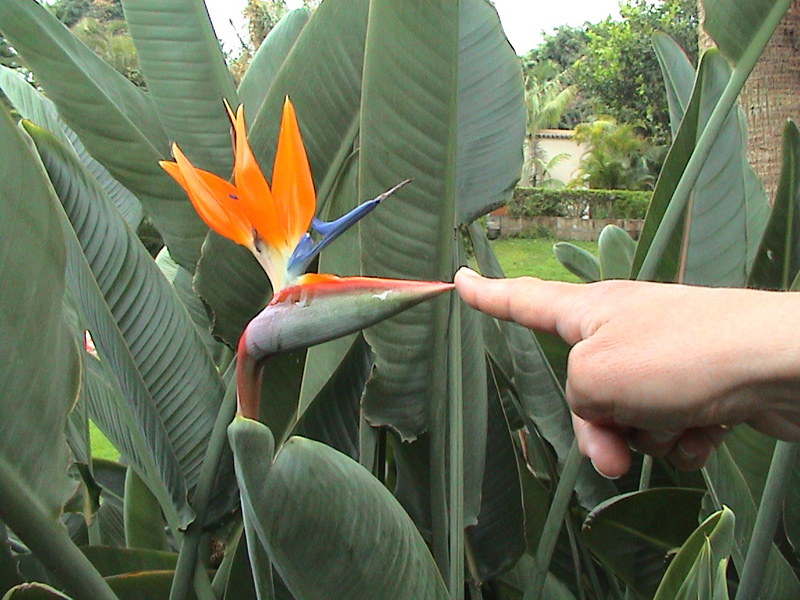 Photography by bubufr for DesignCrowd (Community Contests) | Design #9124371