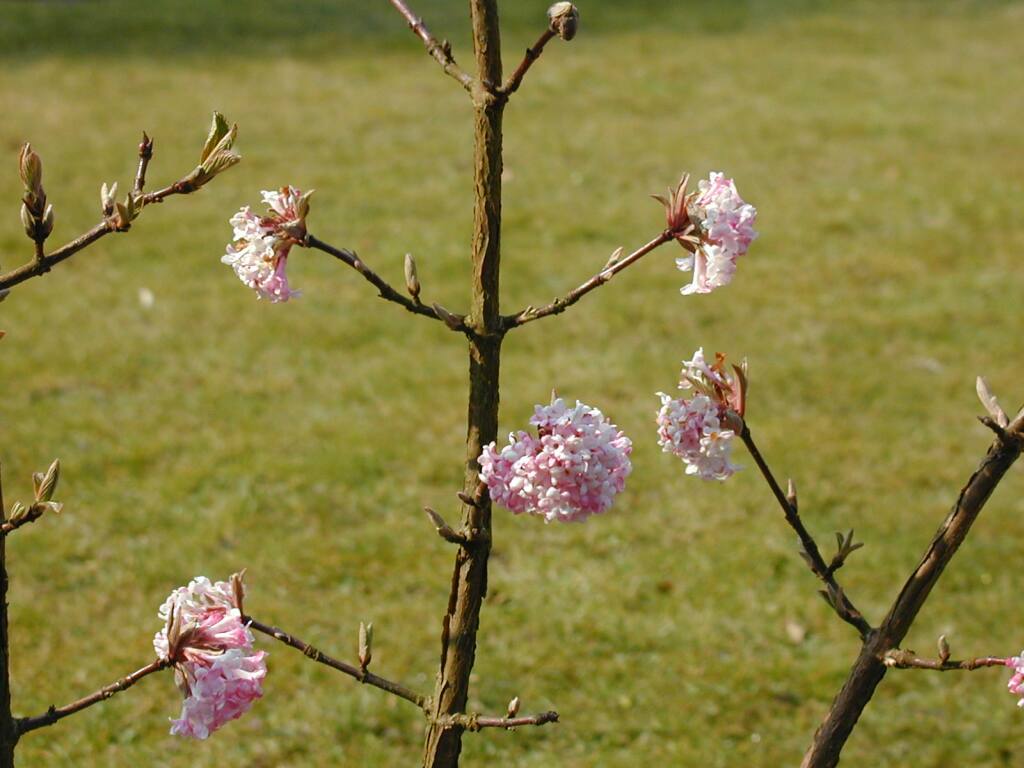 Photography by TyChO for DesignCrowd (Community Contests) | Design #9124376