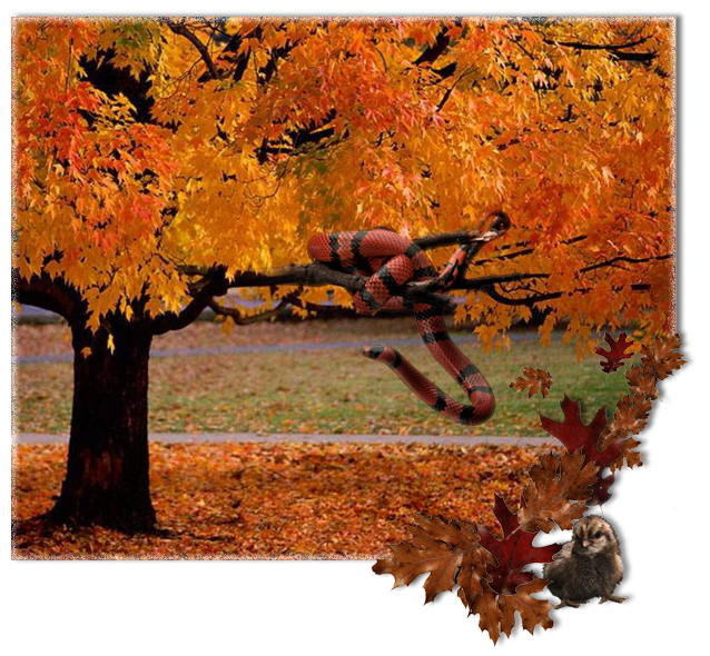 Photoshop Design by neznam for DesignCrowd (Community Contests) | Design #9146374