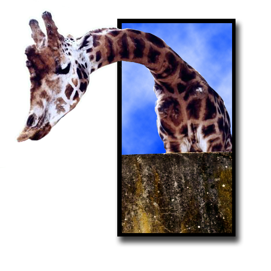 Photoshop Design by wicked_gal00 for DesignCrowd (Community Contests) | Design #9146469